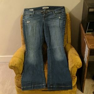 Flared Jean - Medium Wash